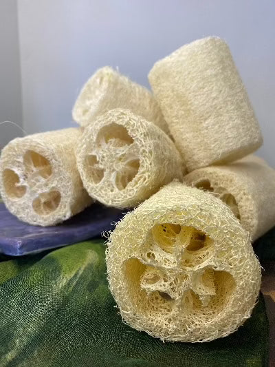 Natural Loofah
